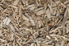 biomass boilers Mark